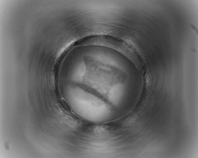 X0000099380684200805151619