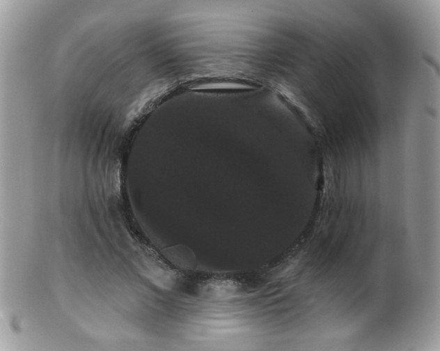 X0000099380685200805151619