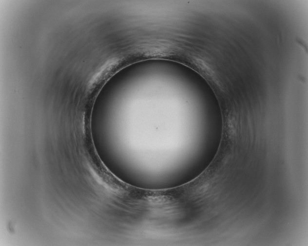 X0000099380686200805151619