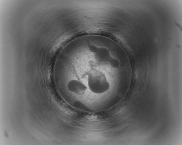 X0000099380687200805151619