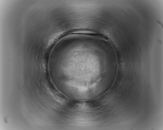 X0000099380688200805151619