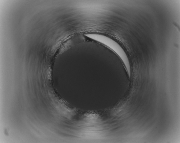 X0000099380689200805151619