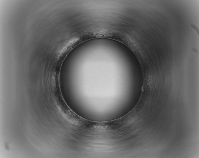 X0000099380690200805151619