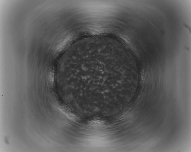 X0000099380691200805151619