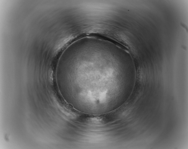 X0000099380692200805151619