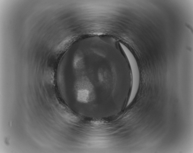 X0000099380693200805151619