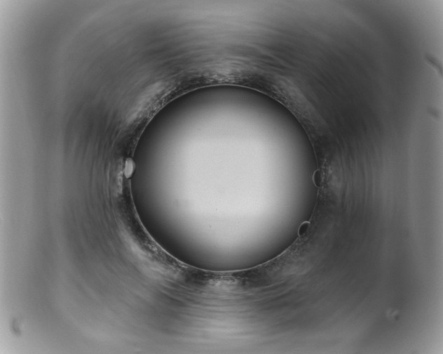 X0000099380694200805151619