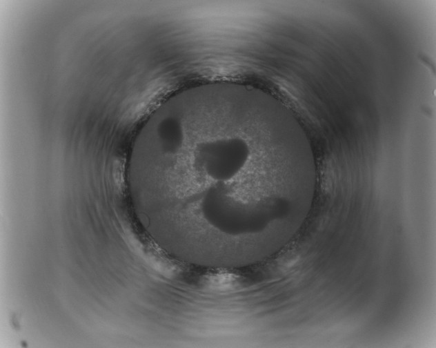 X0000099380695200805151619