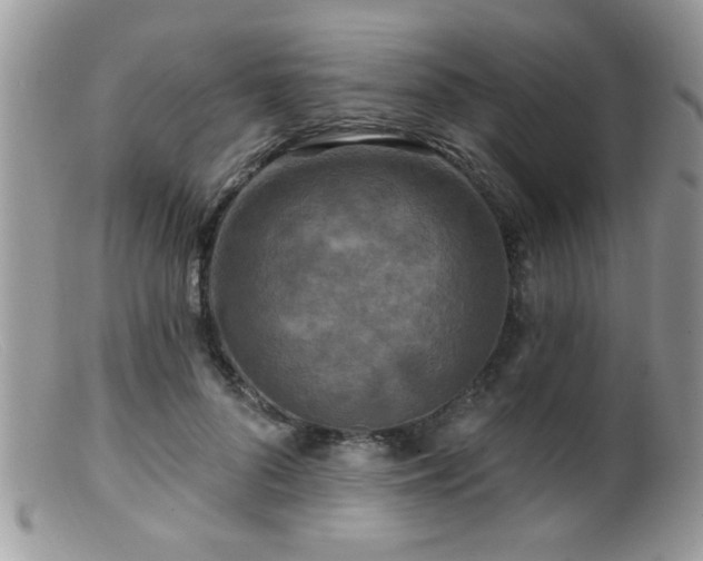 X0000099380696200805151619