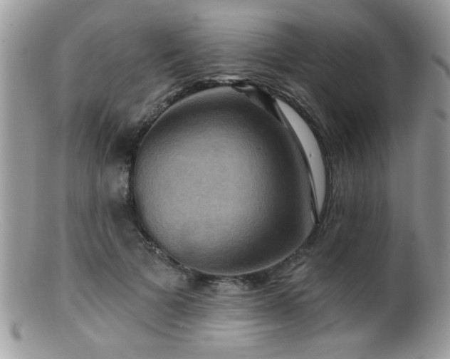 X0000099380697200805151619