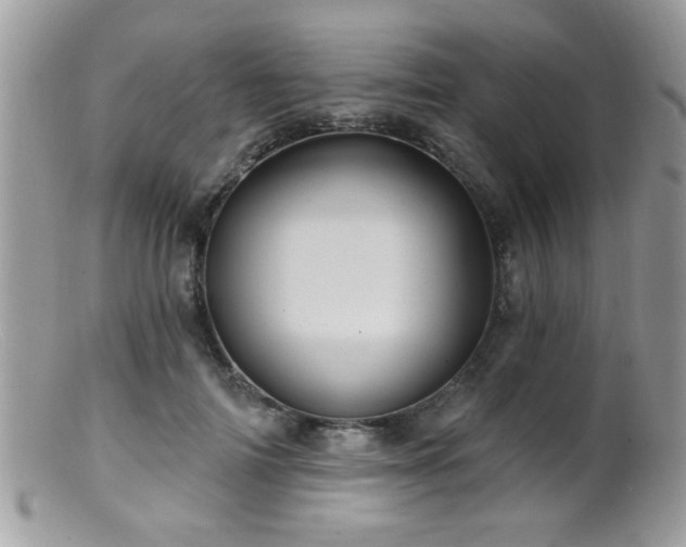 X0000099380698200805151619