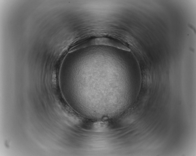 X0000099380700200805151619