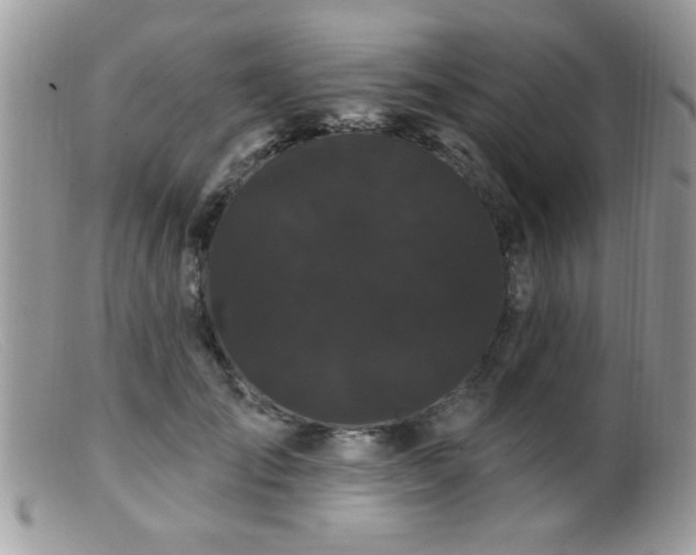 X0000099380701200805151619