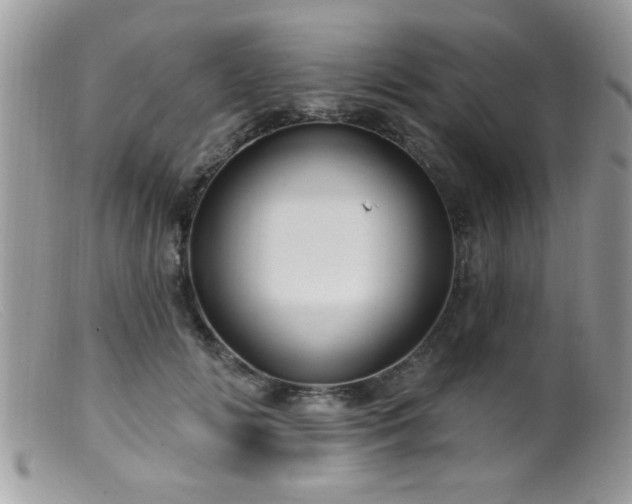 X0000099380702200805151619