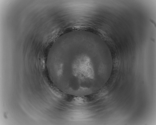 X0000099380703200805151619