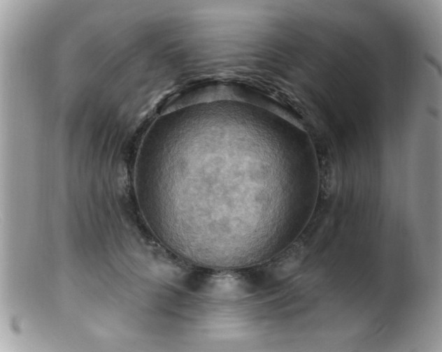 X0000099380704200805151619