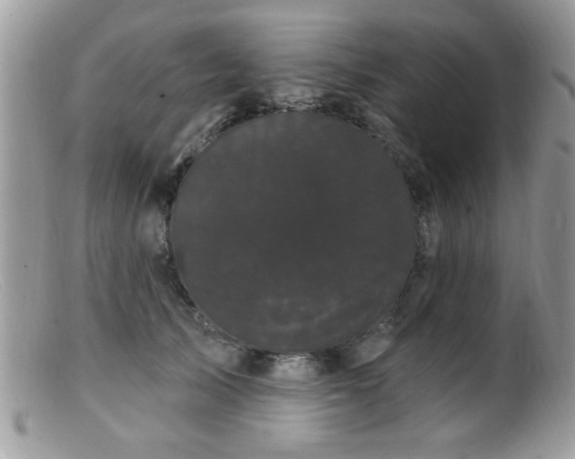 X0000099380705200805151619