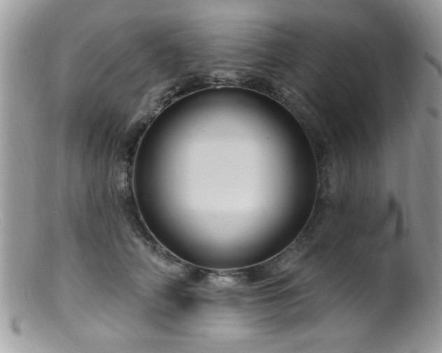 X0000099380706200805151619