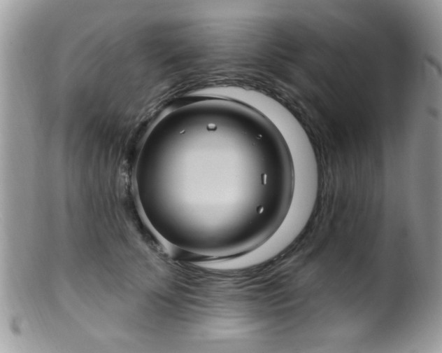 X0000099380707200805151619