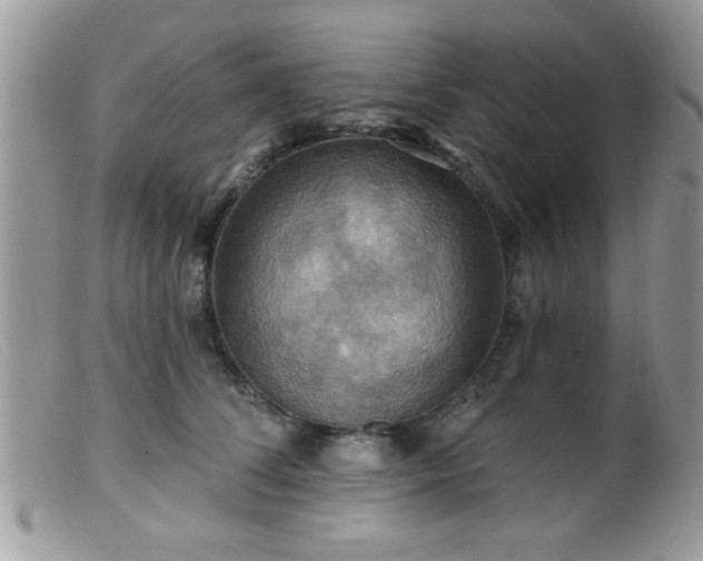 X0000099380708200805151619