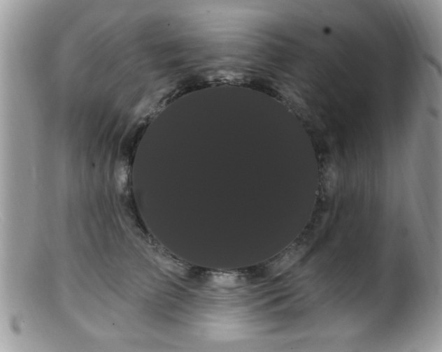 X0000099380709200805151619