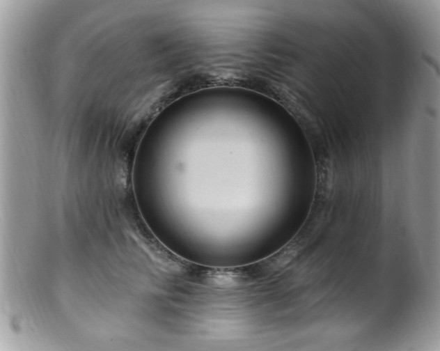 X0000099380710200805151619