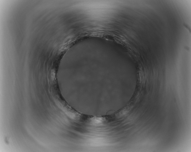 X0000099380711200805151619