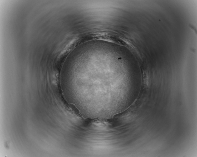 X0000099380712200805151618