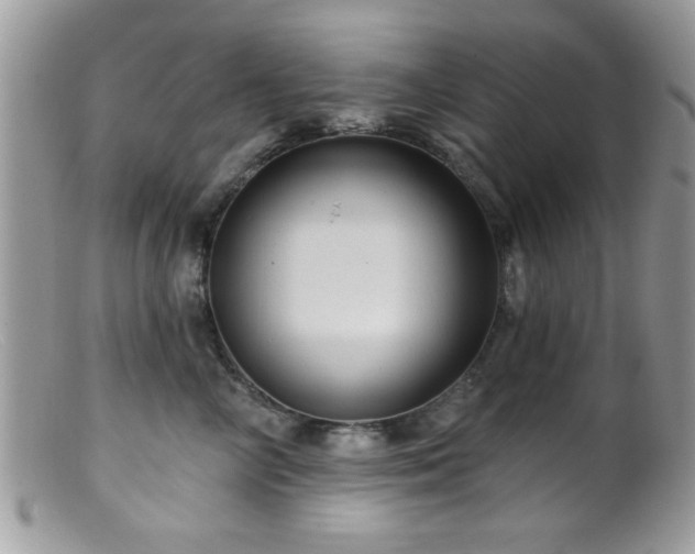 X0000099380714200805151618