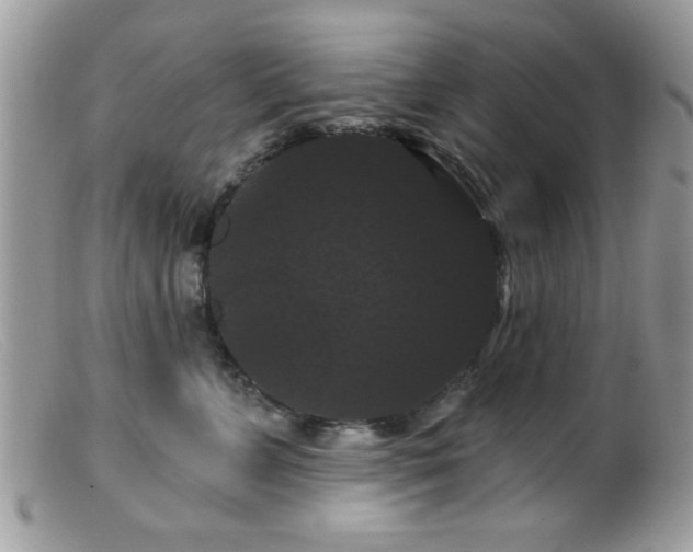 X0000099380715200805151618