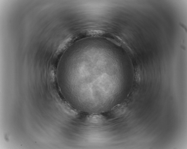 X0000099380716200805151618