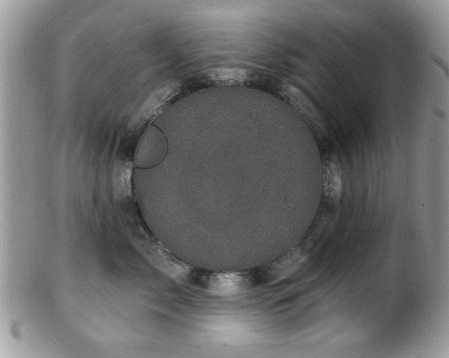 X0000099380717200805151618