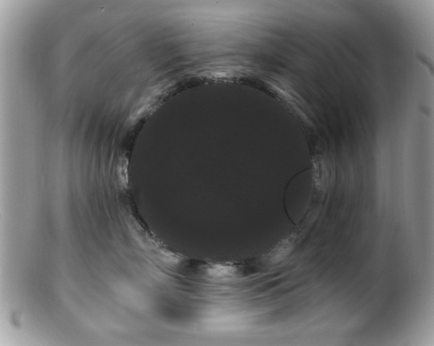 X0000099380718200805151618