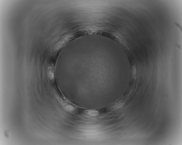 X0000099380719200805151618