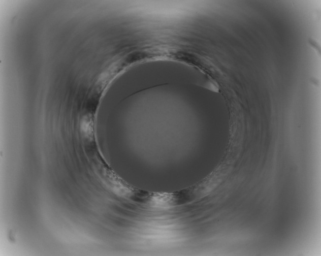 X0000099380720200805151618