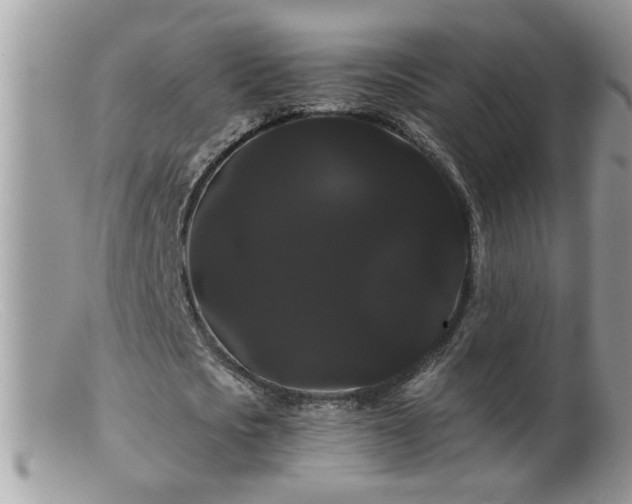 X0000099380721200805151618