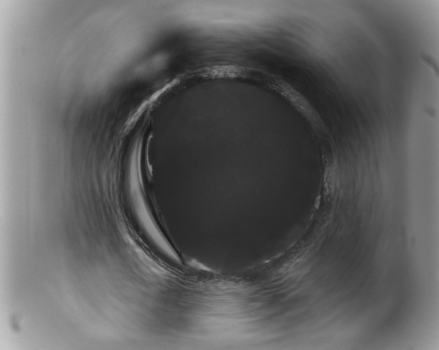 X0000099380722200805151618