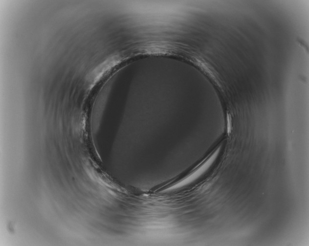 X0000099380723200805151618