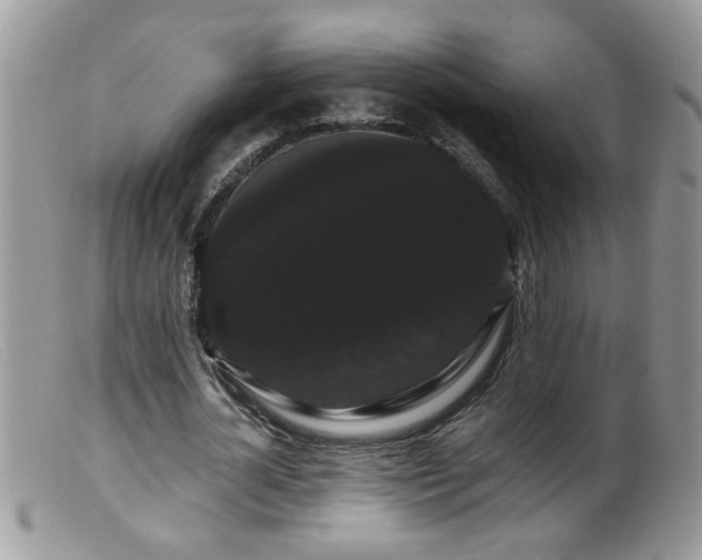 X0000099380724200805151618