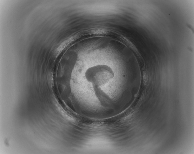 X0000099380725200805151618