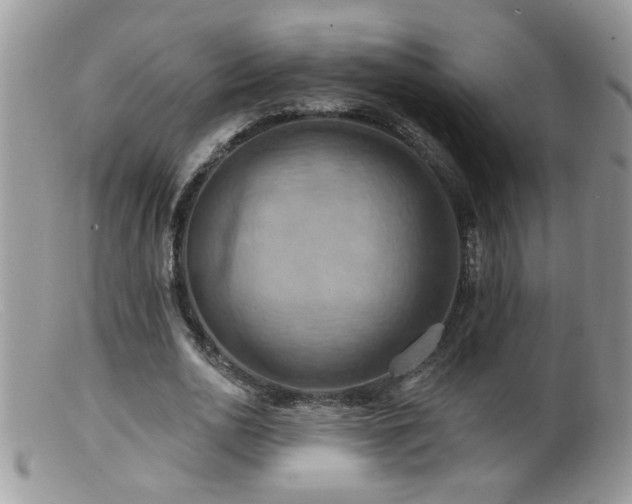 X0000099380726200805151618