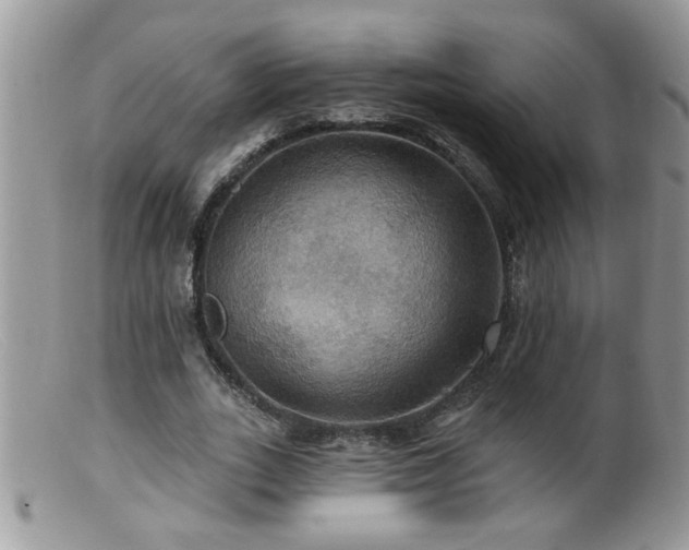 X0000099380727200805151618