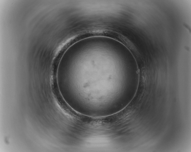 X0000099380728200805151618