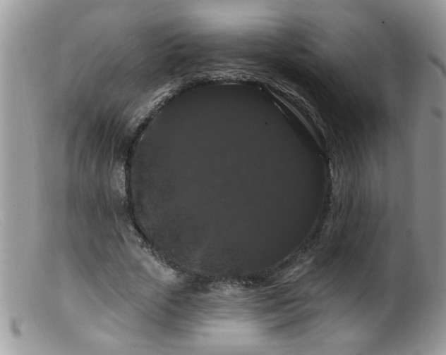 X0000099380729200805151618