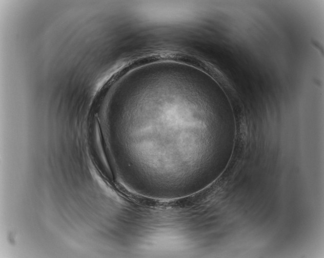 X0000099380730200805151618