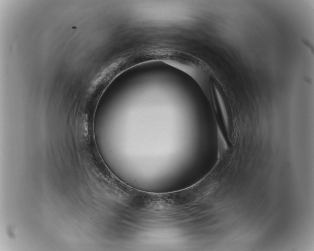 X0000099380731200805151618