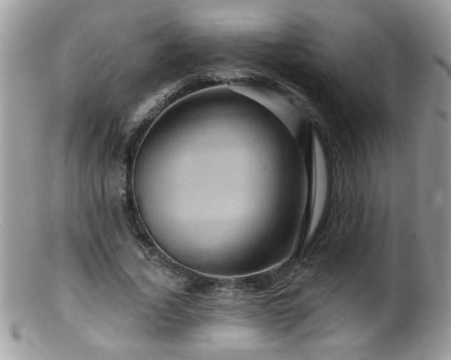 X0000099380732200805151618