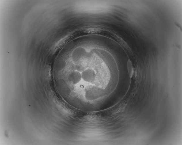 X0000099380733200805151618