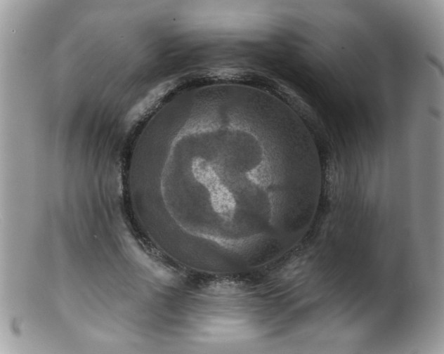 X0000099380734200805151618