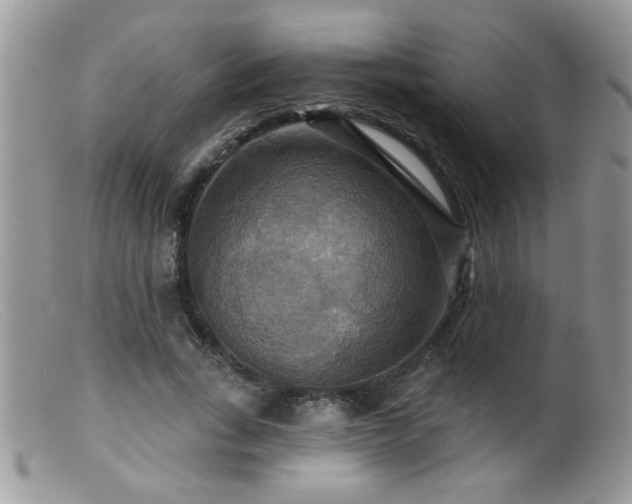 X0000099380735200805151618